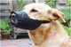Museruola di sicurezza per cani Beeztees l - 18,5 cm - museruola - nylon - nera