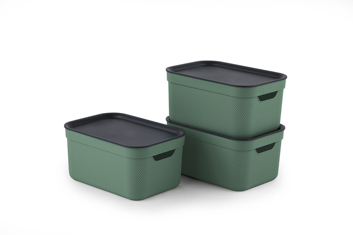 Rotho jive scatole portaoggetti set da 3 scatole portaoggetti 5 l con coperchio, plastica (pp riciclata), verde antracite, 3 x 5 l (26,5 x 18,5 x 13,2 cm