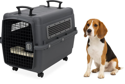 Flamingo jaula de viaje para perros – jaula para coche – caja de transporte para perros l 80x56x65,5 cm – jaula de transporte lanta gris oscuro