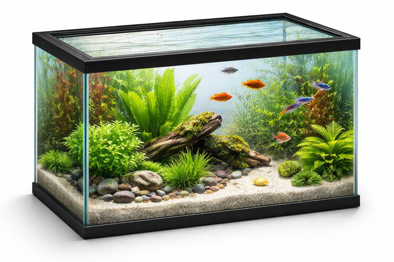 Acuario Flamingo – acuario de cristal completo – 40x20x25cm – 17,3l – vidrio – marco de plástico negro – calidad europea – para todas las especies de peces – interior