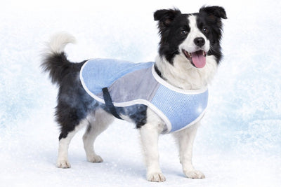 Flamingo chaqueta refrescante para perro - chaleco refrescante para perro - chaleco refrescante para perro - xl - 45 cm - gris azul congelado - abrigo refrescante ajustable para perro para el verano