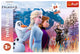 Trefl puzzel d2:d120 frozen 2 maxi: 24 stukjes