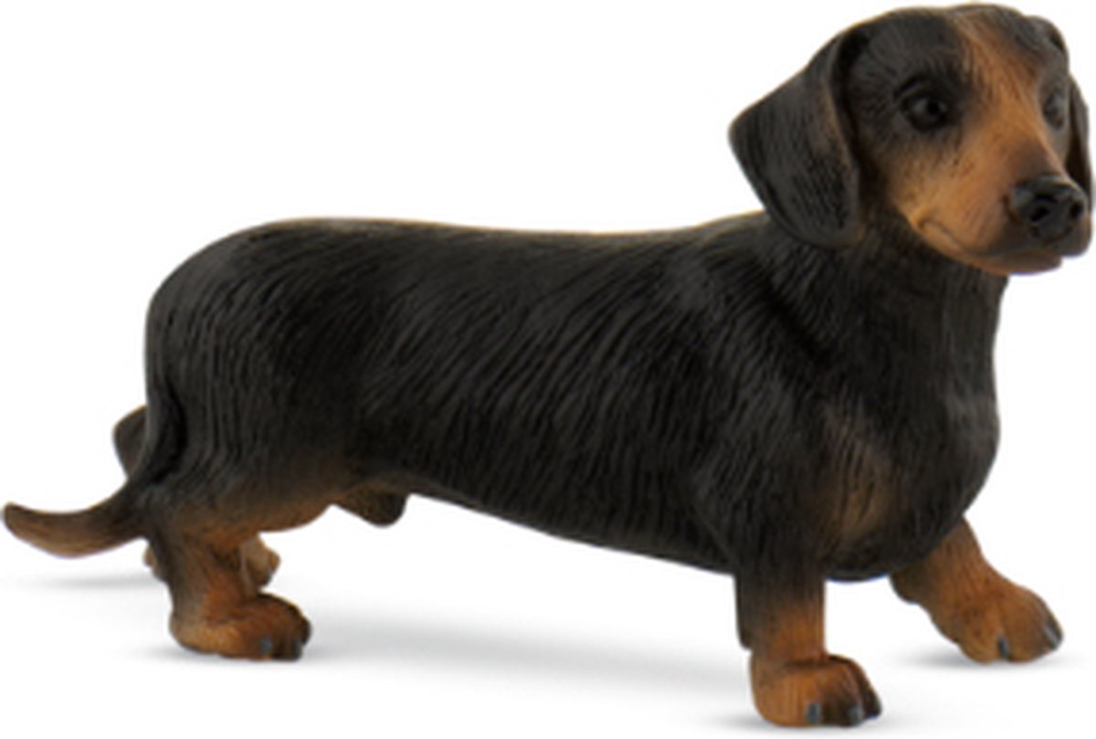 Bullyland perro salchicha de pelo corto Apolo (65441)