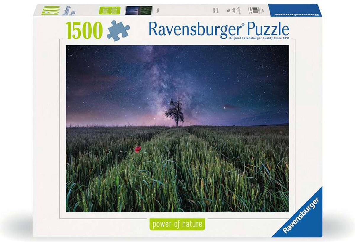 Ravensburger Jigsaw Puzzle Night.
