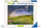 Ravvent Spectacular Raincular Raincular Raincular Raincular
