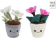 Planta Take Me Home de peluche l Rosa de Navidad - 24cm