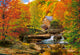 Puzzle Castorland Otoño - Puzzle de 1000 piezas para adultos.