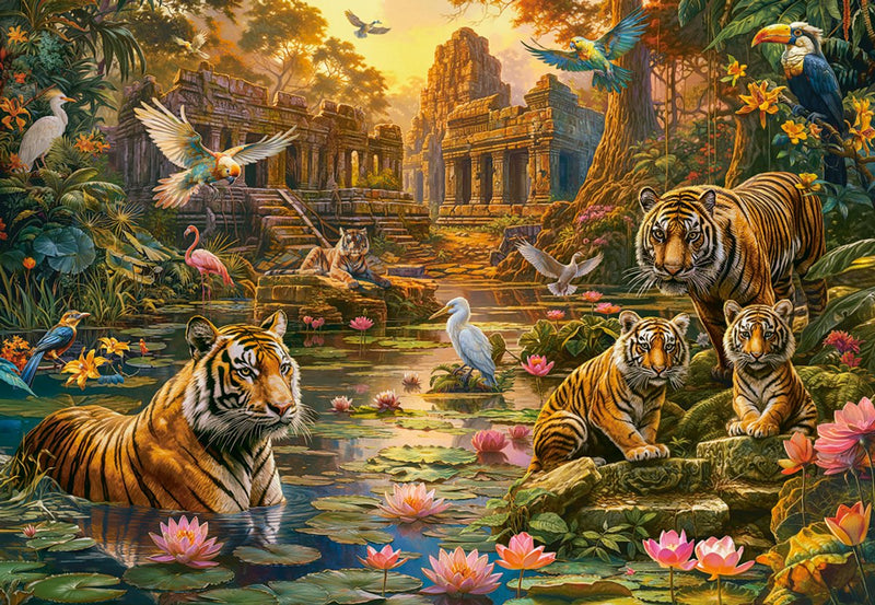 Castorland Puzzle Paradiso delle Tigri - Puzzle da 1000 pezzi.