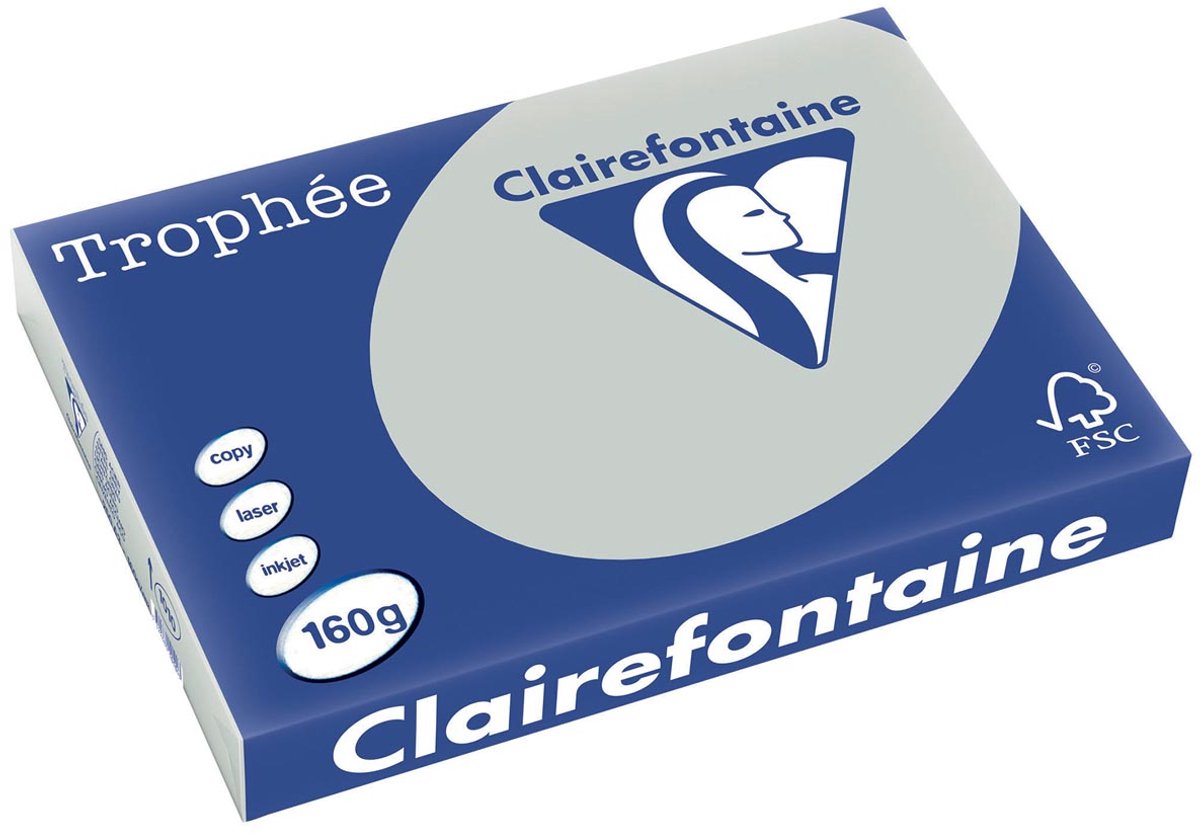 Clairefontaine trophée pastel | gekleurd papier | a3 | 160 g | 250 vel | lichtgrijs