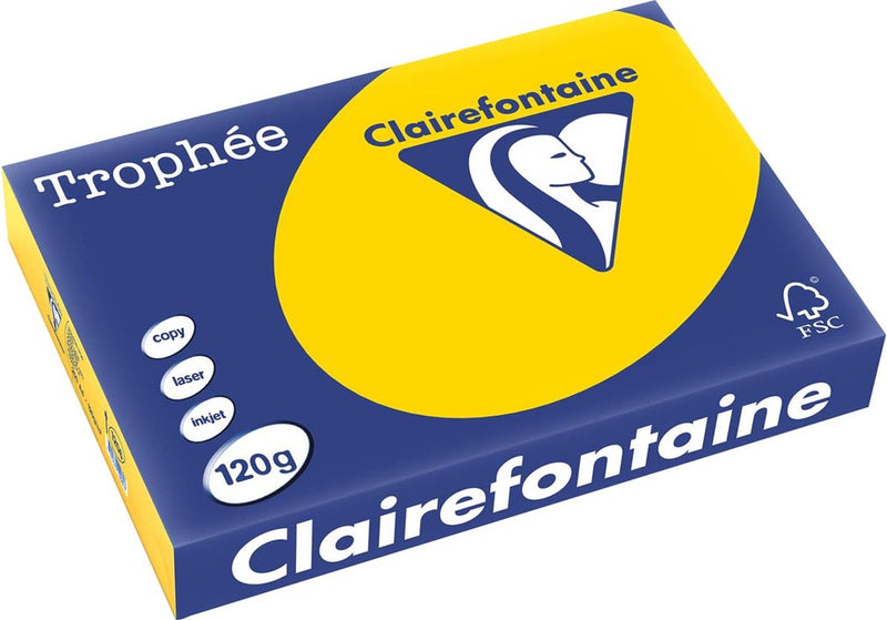 Clairefontaine trophée pastel, papel de color, a4, 120 g, 250 hojas, amarillo dorado