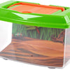 Jugar insectos con maleta
