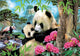 Educa legpuzzel - 1000 stukjes - panda's - puzzel