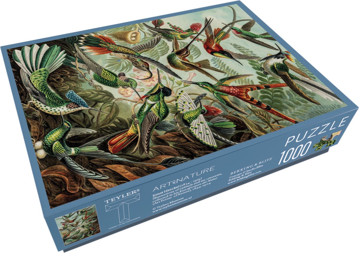 Bekking blitz - puzzle - 1.000 pezzi - arte - forme d'arte della natura - Ernst Haeckel - Museo Teylers