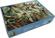 Bekking blitz - puzzle - 1.000 pezzi - arte - forme d'arte della natura - Ernst Haeckel - Museo Teylers