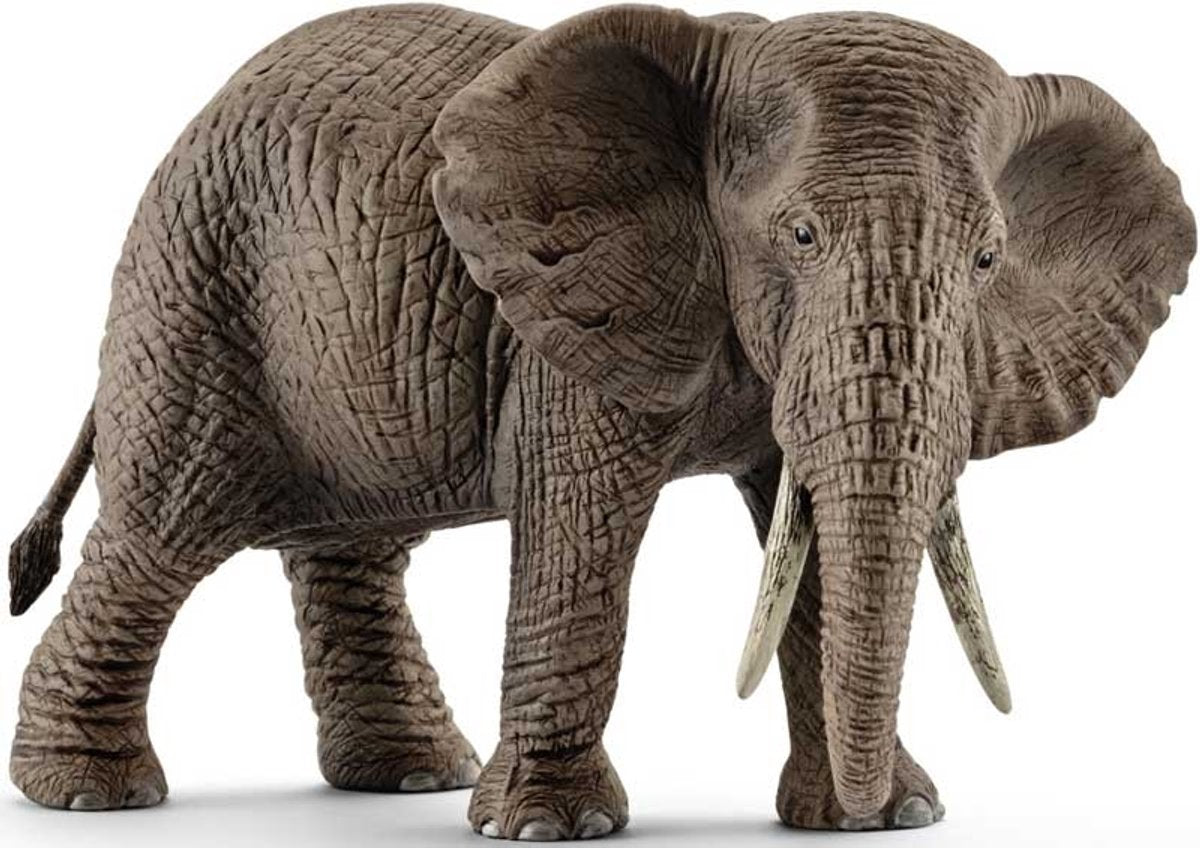 Schleich Vida salvaje Elefante africana Femenina 14761