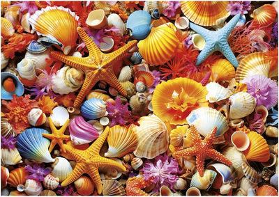 Educa - jigsaw puzzle - collage de conchas 1000 pieces