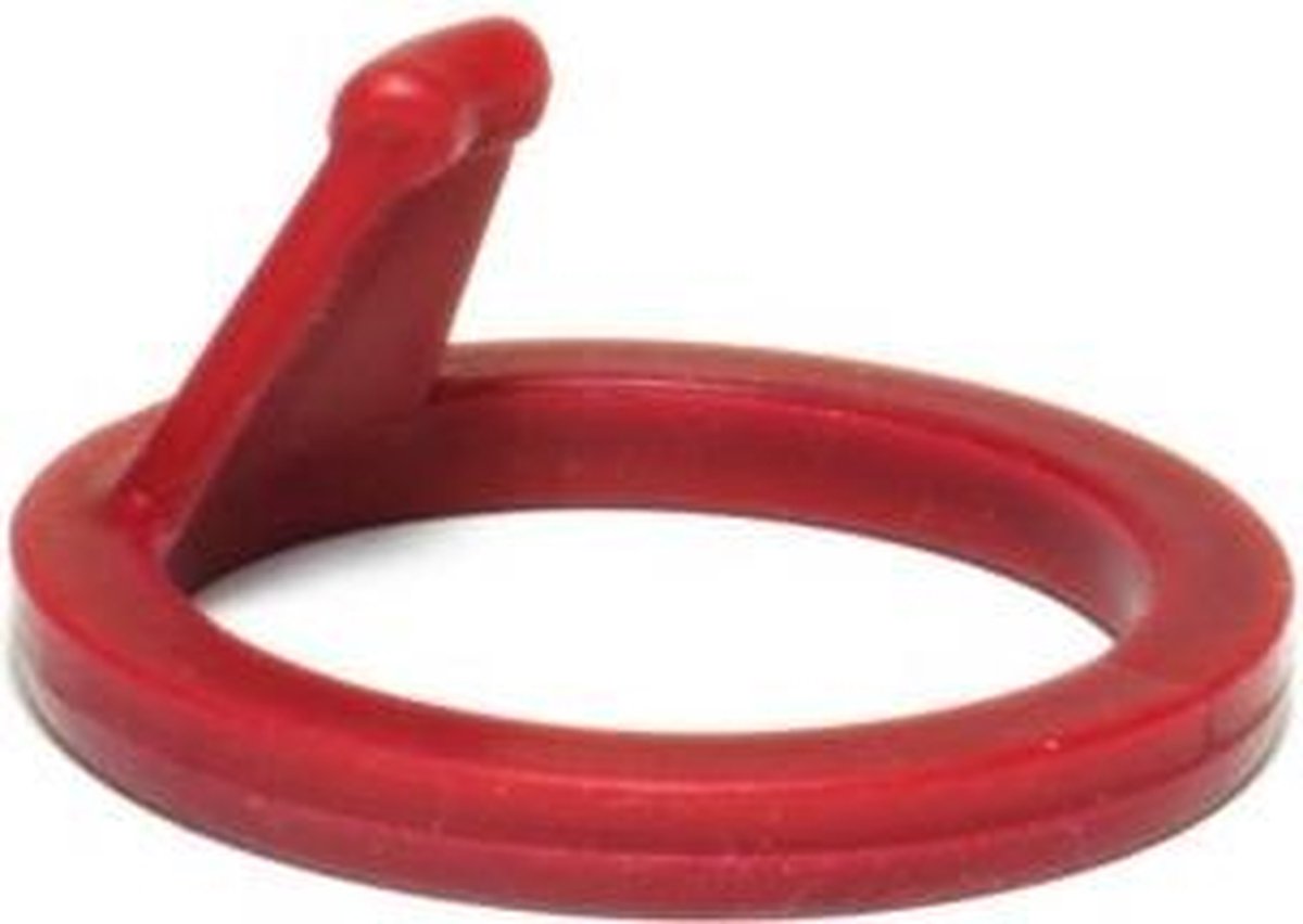 Isi afdichtring kopstuk gourmet thermo whip - rood