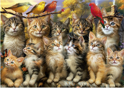Puzzle Educa Gatti e Uccelli Puzzle con animali da 500 pezzi.