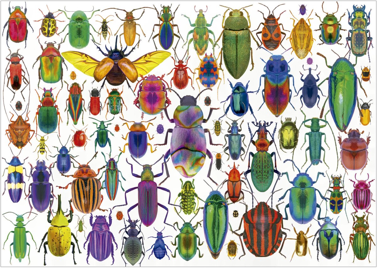 Educa puzzel kevers - 500 stukjes dieren legpuzzel volwassenen.