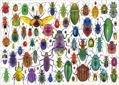 Educa puzzle escarabajos - Puzzle de animales de 500 piezas para adultos.