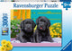 Ravensburger puzzle labrador neri - puzzle - 300 pezzi