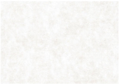 Carta kraft Creative Company, A2, foglio 420x594 mm, 100 gr, bianco, 500 fogli 1 scatola