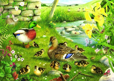 Casa dei puzzle puzzle anatre da innaffiare 500 pezzi xl animali.