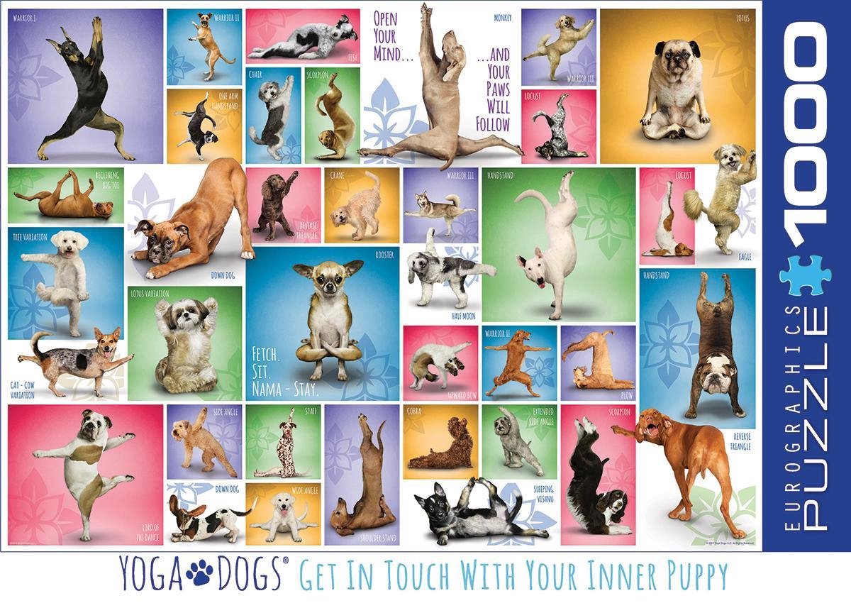 Eurographics - yoga honden [yoga dogs] - 1000 stukjes 68×48cm (b×h) - legpuzzel