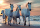 Puzzle Rebo - 1000 piezas - caballos