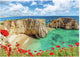 Ravensburger Jigsaw Puzzle Poppies en el Algarve Portugal, 1000.