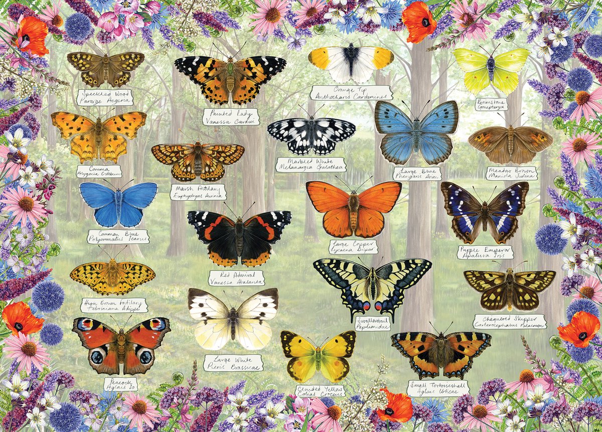 Gibsons - beautiful butterflies (by fiona osbaldstone) - 1000 pieces 68×49cm (w×h) - jigsaw puzzle for adults