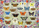 Gibsons - beautiful butterflies (by fiona osbaldstone) - 1000 pieces 68×49cm (w×h) - jigsaw puzzle for adults