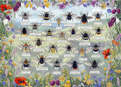 Gibsons - brilliant bees (door fiona osbaldstone) - 1000 stukjes 68×49cm (b×h) - legpuzzel voor volwassenen