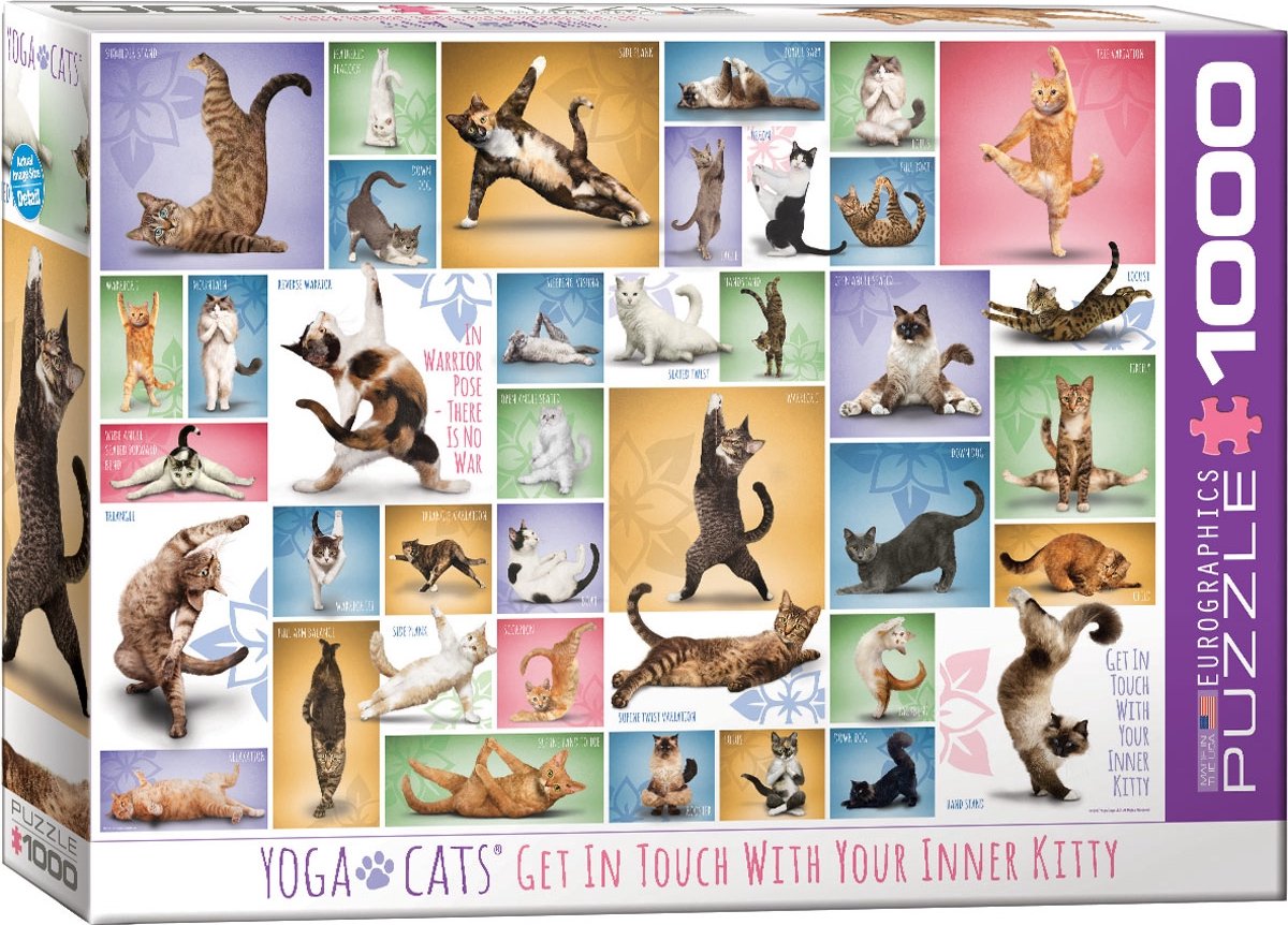 Eurographics - yoga katten [yoga cats] - 1000 stukjes 68×48cm (b×h) - legpuzzel