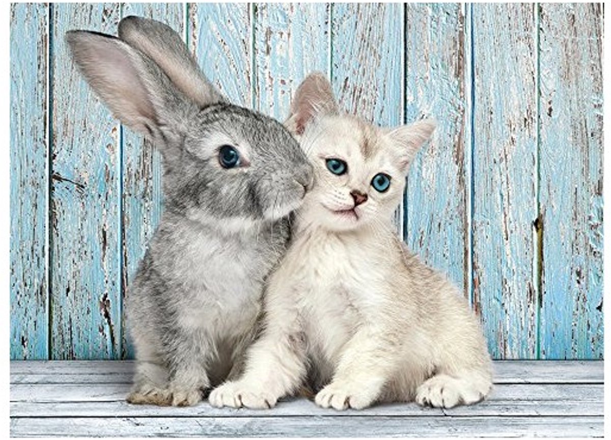 Clementoni - puzzle - 500 pezzi - gatto e coniglio - puzzle per bambini e adulti - collezione di alta qualità