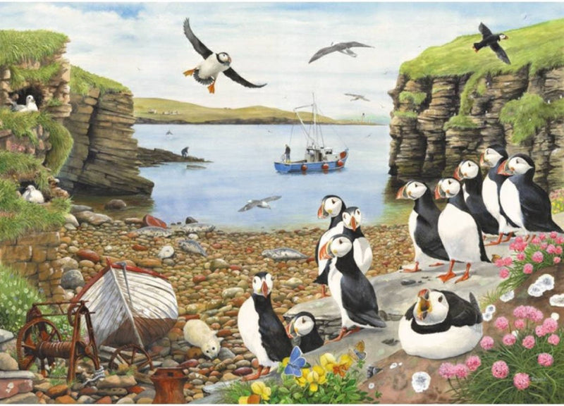 Puzzle House of Puzzles Parata dei Puffini 500 pezzi xl