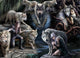 Bluebird puzzle puzzle anne stokes lupo collage 1500 pezzi animali.