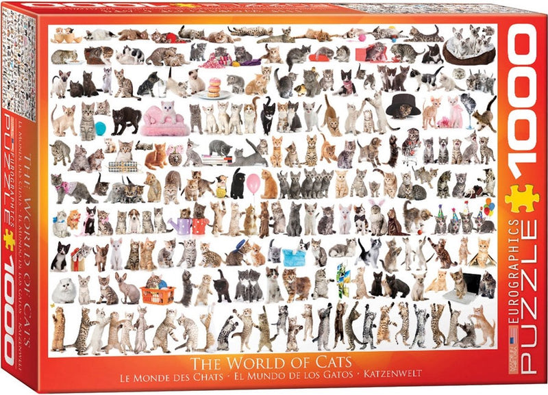 Eurographics - el mundo de los gatos - 1000 piezas 68×48cm (ancho×alto) - rompecabezas