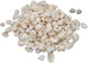 Colorations Kleine Ark Schelpen, 500 grams