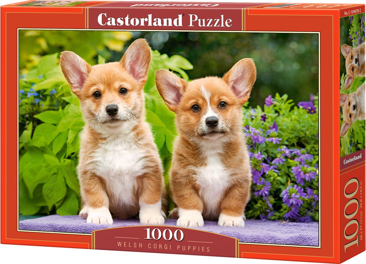 Castorland welsh corgi puppies – puzzel – 1.000 stukjes – satijnen afwerking – perfecte pasvorm – europese kwaliteit