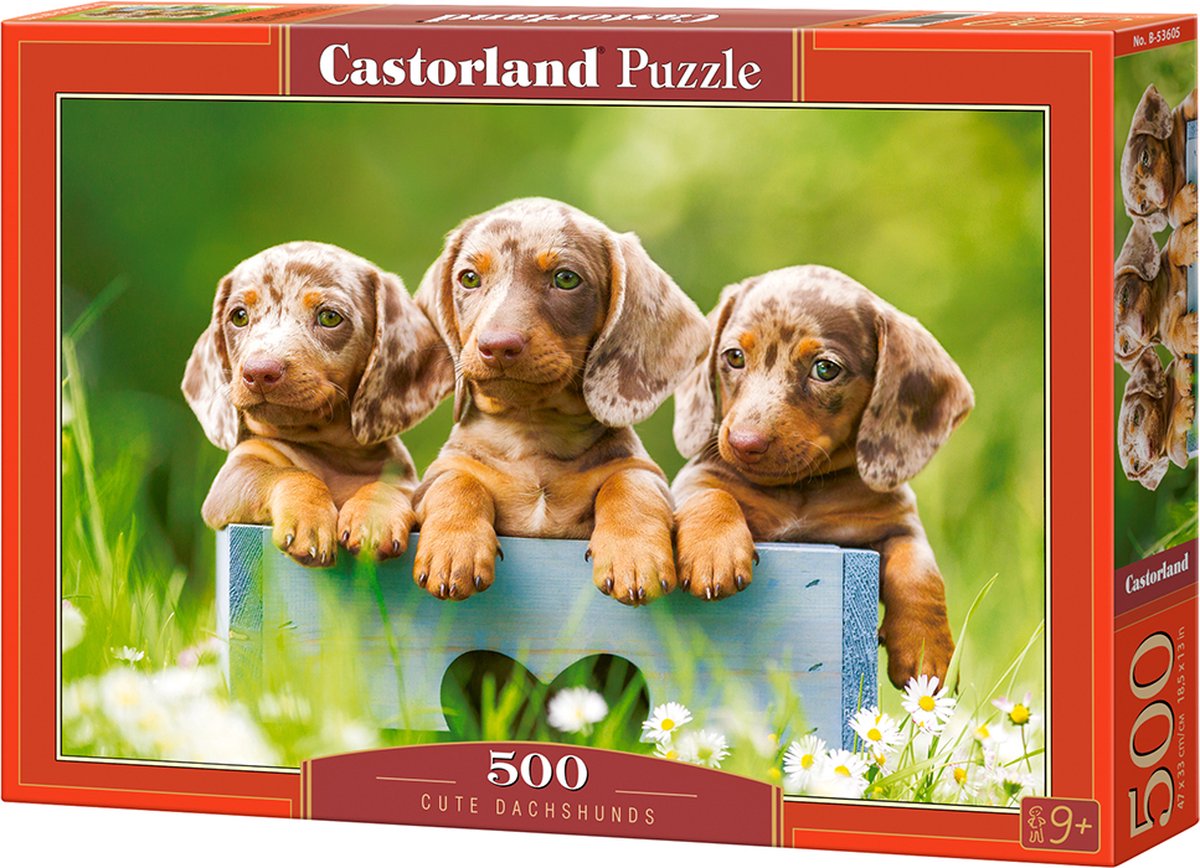 Castorland cute dachshunds – puzzel – 500 stukjes – satijnen afwerking – perfecte pasvorm – europese kwaliteit