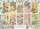 Puzzle Cobble Hill Fiori Botanici Puzzle da 1000 pezzi.