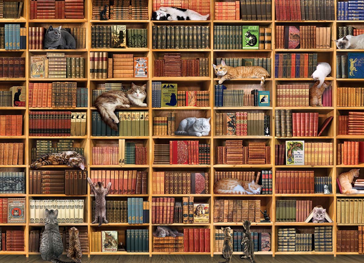 Cobble Hill Puzzle Cat Puzzle 1000 piezas - La biblioteca del gato.