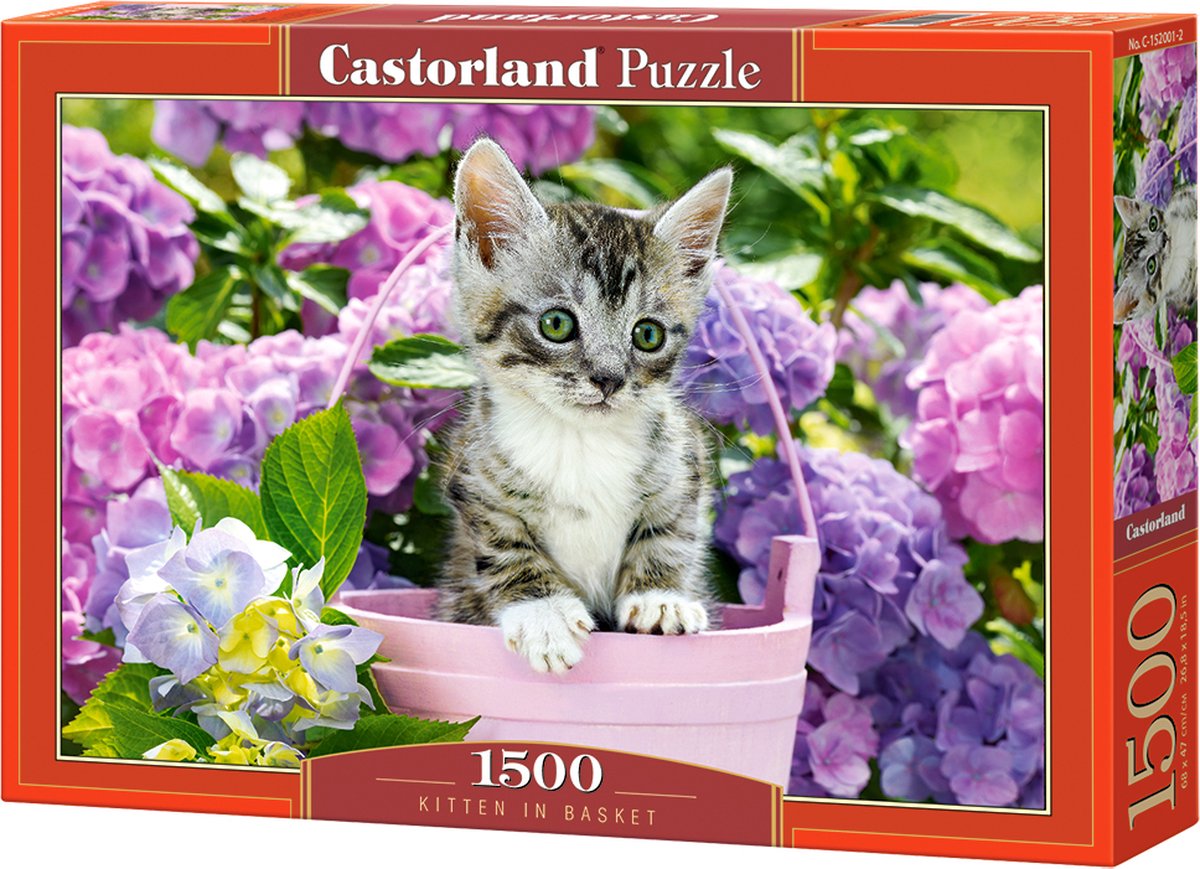 Castorland kitten in basket – puzzel – 1.500 stukjes – satijnen afwerking – perfecte pasvorm – europese kwaliteit