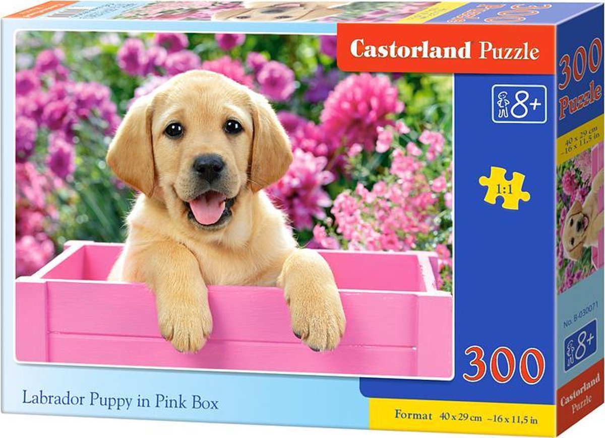 Castorland labrador puppy in pink box – puzzel – 300 stukjes – puppy – premium kwaliteit