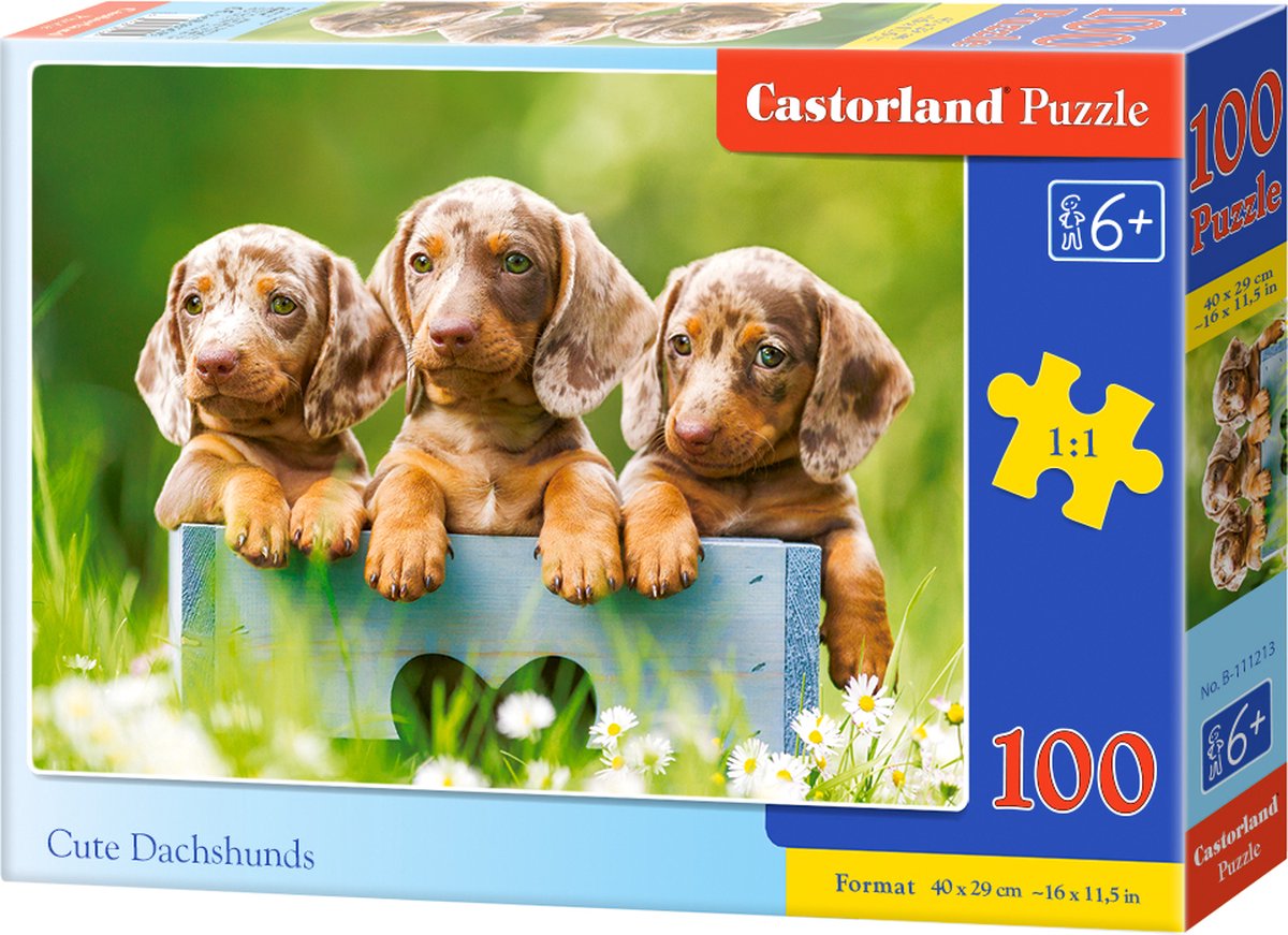 Castorland cute dachshunds – puzzel – 100 stukjes – honden – premium kwaliteit