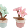 Planta de peluche Take me home con 2 flores l - 24cm