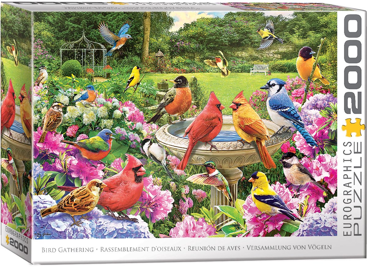 Eurographics puzzle uccelli 2000 pezzi - puzzle natura.
