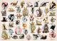 Puzzle Eurographics gattini yoga (500 pezzi)