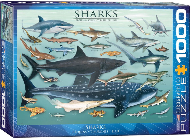 Eurographics - tiburones [tiburones] - 1000 piezas 68×48cm (ancho×alto) - rompecabezas